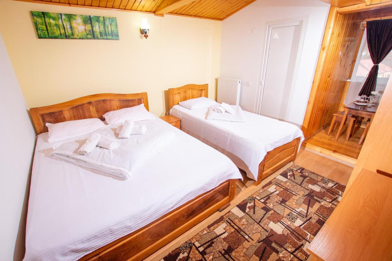 מלון Baia de Aramă Casa Alba מראה חיצוני תמונה